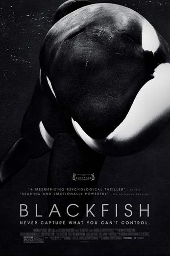 دانلود فیلم Blackfish 2013 زیرنویس چسبیده
